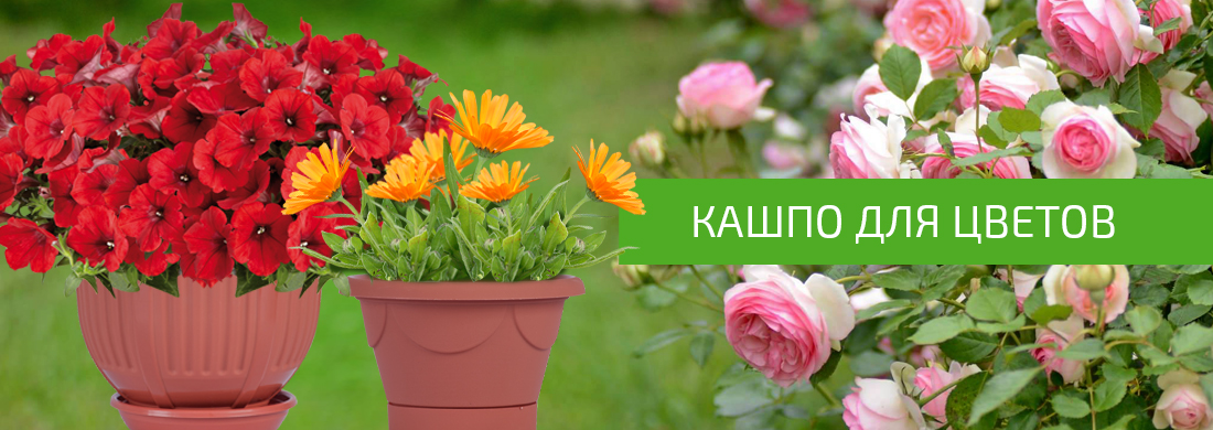 Кашпо и горшки для цветов Кашпо и горшки для цветов